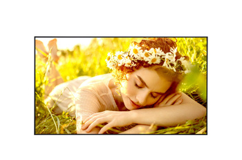 DISPLAY LCD 75" 4K/75UL5Q-M LG
