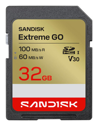 MEMORY SDHC 32GB UHS-I/SDSDXGN-032G-GNCIN SANDISK