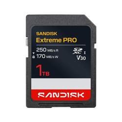 MEMORY SDXC 1TB UHS-I/SDSDXXJ-1T00-GSCIN SANDISK