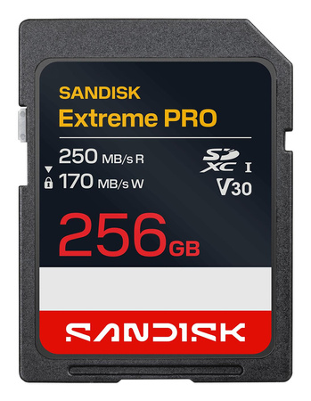 MEMORY SDXC 256GB UHS-1/SDSDXXJ-256G-GSCIN SANDISK