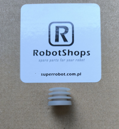 Xiaomi Roidmi EVE Plus - main brush