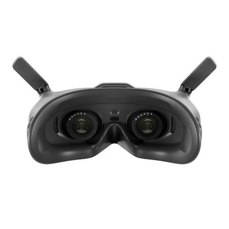 Gogle FPV DJI Goggles 2