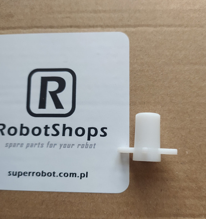 Xiaomi Roidmi EVE Plus - main brush