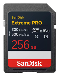 MEMORY SDXC 256GB UHS-II/SDSDXDM-256G-GN4IN SANDISK